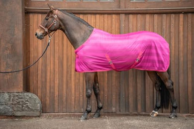 Equinate Fliegendecke Guardian mit Kreuzbegurtung und Widerristpolster 165cm Raspberry für Pferde – Bild 1 von 3