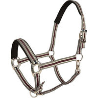Produktbild von Equinate Halfter Oakley für Warmblut doppelt verstellbar mit Polsterung Silber-Weinrot