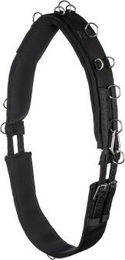 Equinate Longiergurt Conway mit Memory Foam für Warmblut Pferde in Schwarz – Bild 1 von 2