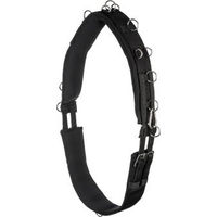 Produktbild von Equinate Longiergurt Conway mit Memory Foam für Warmblut Pferde in Schwarz