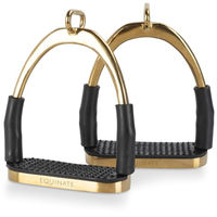 Produktbild von Equinate Sicherheitssteigbügel Charles Gold 10cm mit Anti-Rutsch Trittfläche aus Gummi für Erwachsene und Kinder