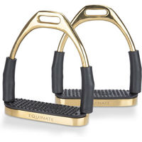 Produktbild von Equinate Sicherheitssteigbügel Fremont Gold 10cm mit Anti-Rutsch Trittfläche aus Gummi für Erwachsene und Kinder 2 Stück