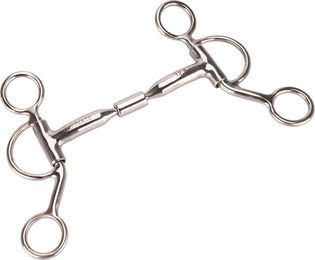 Equinate Westerngebiss Billy Allen Bit mit Shanks aus Edelstahl 14,5 cm – Bild 1 von 3