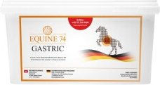 Produktbild von Equine 74 Gastric Pellets Magen-Darm Mineralfutter für Pferde 6 kg - 6 kg
