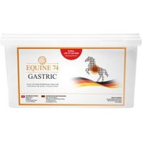 Produktbild von Equine 74 Gastric Pellets Magen-Darm Mineralfutter für Pferde 6 kg - 6 kg