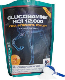 Equine America Glucosamine HCI 12000 Pulver für Pferde 5 kg – Bild 1 von 1