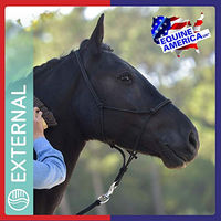 Produktbild von Equine America Green Eiskühlgel zur Entlastung von Gelenken und Muskeln für Pferde und Ponys 1,5 Liter - 1,5 l