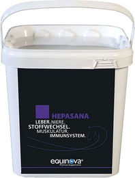 Produktbild von equinova Hepasana Ergänzungsfutter für Pferde zur Unterstützung von Immunsystem, Verdauung und Stoffwechsel 1000g
