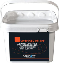 Produktbild von equinova Vitalysan Pellet Mineralfutter und Nahrungsergänzung für Pferde zur Unterstützung von Verdauung und Muskelaufbau 1000g