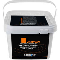 Produktbild von Equinova Vitalysan Pulver Nahrungsergänzung für Pferde 3 kg - 3 kg
