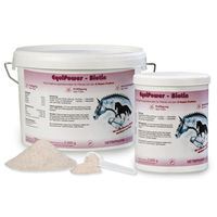 Produktbild von EquiPower Biotin Ergänzungsfutter für Pferde zur Unterstützung von Haut, Fell und Hufen 2 kg - 2 kg