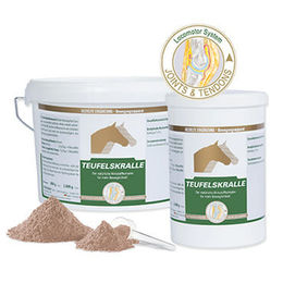 Equipower Teufelskralle Pulver zur Unterstützung der Gelenke 2 kg - 2 kg – Bild 1 von 6