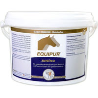 Produktbild von Equipur Amino Nahrungsergänzung für Gelenke und Knochen sowie Muskelaufbau 1000g