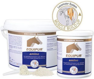 Produktbild von Equipur EQUIPUR amino Nahrungsergänzung für Muskelaufbau sowie Gelenke und Knochen