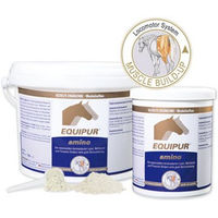 Produktbild von Equipur EQUIPUR amino Nahrungsergänzung für Muskelaufbau sowie Gelenke und Knochen