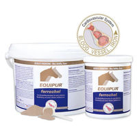 Produktbild von Equipur Ferrochel Nahrungsergänzung zur Blutbildung für Pferde 3 kg - 3 kg