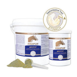 Equipur Gastral Ergänzungsfutter für Pferde zur Unterstützung der Magen-Darm-Verdauung 1 kg Pulver - 1 kg – Bild 1 von 4