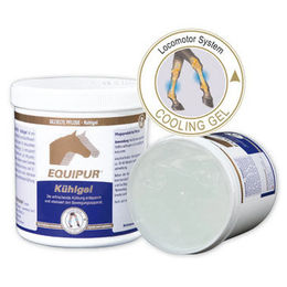 Equipur Kühlgel 1 kg - 1 kg – Bild 1 von 3
