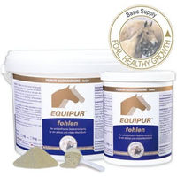 Produktbild von Equipur Mineralfutter für Fohlen zur Unterstützung von Gelenken, Knochen, Immunsystem und Muskelaufbau 1kg