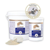 Produktbild von Equipur Racepower Pferdefutter zur Unterstützung von Muskelaufbau und Leber 1 kg