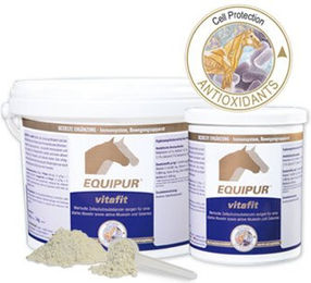 Produktbild von Equipur Vitafit Nahrungsergänzung zur Unterstützung von Gelenken und Immunsystem
