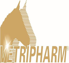 Equipur Vitamin B12 Pulver für Pferde 3 kg - 3 kg – Bild 1 von 3