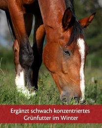 Equistro Beta Carotin Pferdefutter zur Unterstützung der Fruchtbarkeit 3 kg - 3 kg – Bild 1 von 3