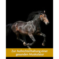 Produktbild von Equistro Excell E Pulver zur Unterstützung des Muskelaufbaus für Pferde 1,15 kg - 1,15 kg
