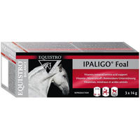 Produktbild von Equistro Ipaligo Foal Paste Vitamine und Mineralstoffe für Fohlen und Aufzucht 3x14 g - 3 x 14 g