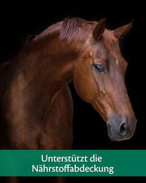 Equistro Mega Base Mineralfutter für Pferde mit Probiotika zur Unterstützung von Verdauung sowie Gelenken und Knochen 10 kg - 10 kg – Bild 1 von 9