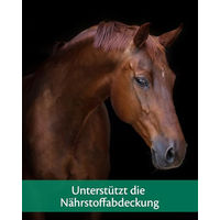 Produktbild von Equistro Mega Base Mineralfutter für Pferde mit Probiotika zur Unterstützung von Verdauung sowie Gelenken und Knochen 10 kg - 10 kg