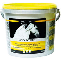 Produktbild von Equistro Myo Power Nahrungsergänzung Pulver für den Muskelaufbau bei Pferden 1000g
