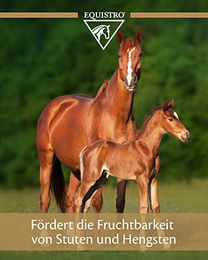 EQUISTRO ß-Carotin Ergänzungsfuttermittel für Pferde zur Unterstützung der Fruchtbarkeit 3kg - 3,2 kg – Bild 1 von 3