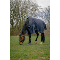 Produktbild von Equithème Anatomic 1200D AI Outdoor-Decke für Pferde Blau 6'6