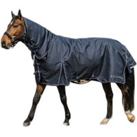 Produktbild von Equithème Anatomic 1200D Combo 0g Außendecke für Pferde mit Halsteil in Blau