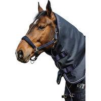 Produktbild von Equithème Anatomic Halsdecke für Pferde aus 1200D Polyester in Blau Grösse M