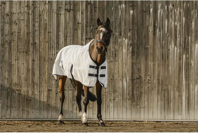 Produktbild von Equithème Anti-UV-Pferdehemd aus Kunststoff in Weiß