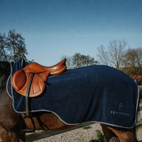 Produktbild von Equithème Ausreitdecke Glitter Polar Nierendecke für Pferde Größe 155