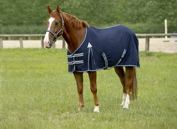 Equithème Baumwolldecke für Pferde Blau 165 cm – Bild 1 von 1