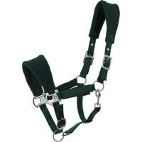 Produktbild von Equithème Breeze Halfter für Pferde