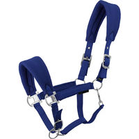 Produktbild von Equithème Breeze Halfter für Pferde
