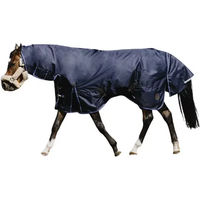 Produktbild von Equithème Classic 1200D Combo Outdoor-Decke für Pferde in Blau