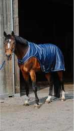 Produktbild von Equithème Classic 1200D Führzügeldecke für Pferde aus Polyester