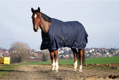 Produktbild von Equithème Classic 1200D Outdoor-Decke für Pferde in Blau aus Nylon - 50 g