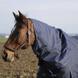 Equithème Classic 600D Halsteil für Pferde in Blau aus Polyester – Bild 1 von 1
