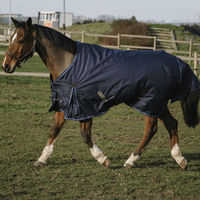 Produktbild von Equithème Classic 600D Outdoordecke für Pferde Blau