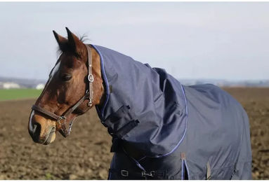 Produktbild von Equithème Classic Halsdecke für Pferde aus Nylon in Blau für Ponys