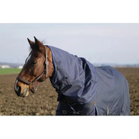 Produktbild von Equithème Classic Halsdecke für Pferde aus Nylon in Blau für Ponys