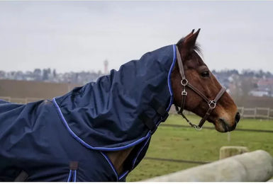 Produktbild von Equithème Classic Halsteil für Vollblut Pferde in Blau aus Nylon