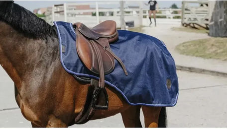 Equithème Classic Nierendecke für Pferde aus Polyester in Schwarz oder Blau – Bild 1 von 1